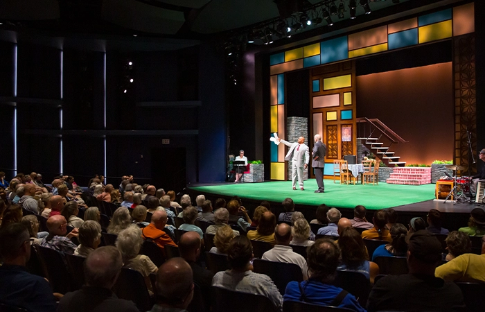 Audience watching a play on stage